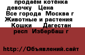 продаём котёнка девочку › Цена ­ 6 500 - Все города, Москва г. Животные и растения » Кошки   . Дагестан респ.,Избербаш г.